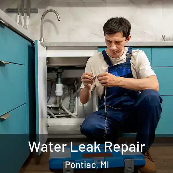  Water Leak Repair Pontiac, MI